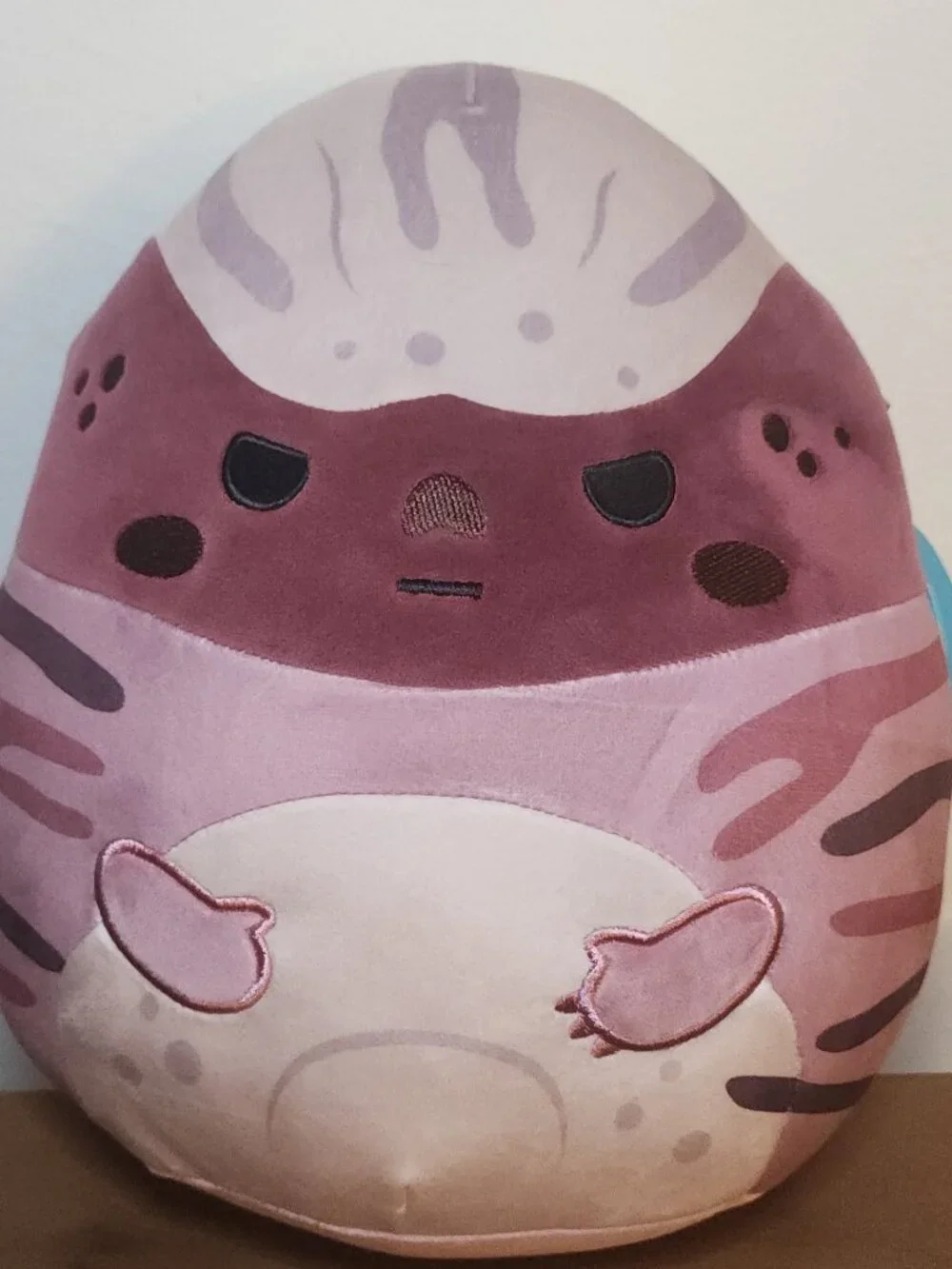 Squishmallow 10